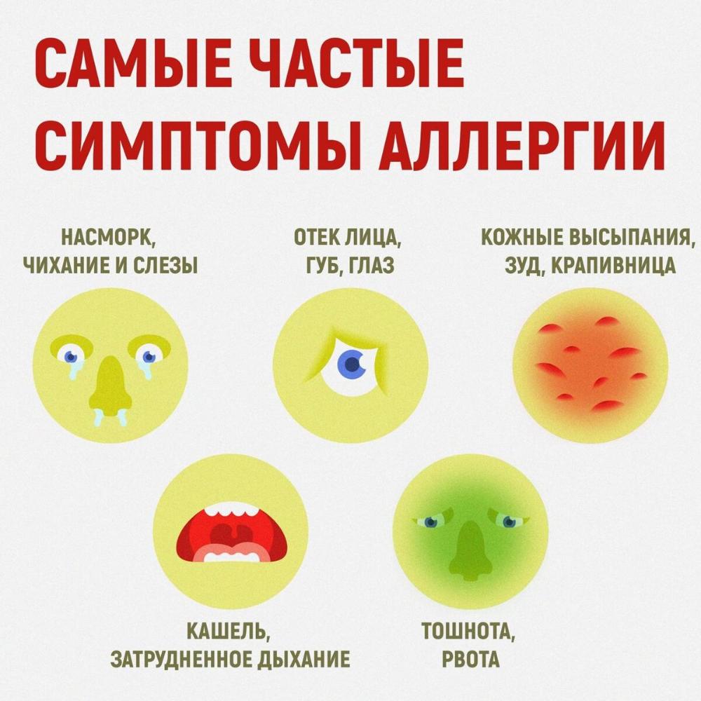 Неделя профилактики аллергических заболеваний